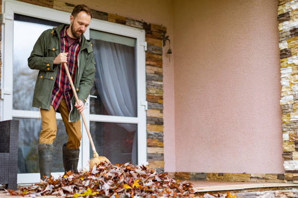 Best Trash Removal Near Me  in Willow Grove, PA